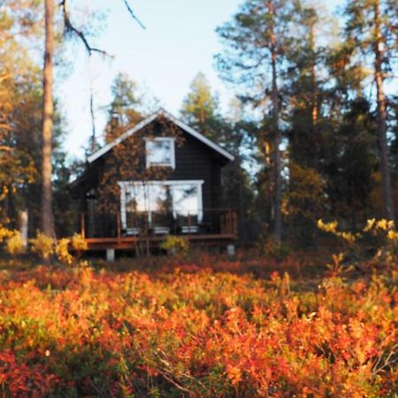 Lapintintti Eco-Cabin In Inari Buitenkant foto
