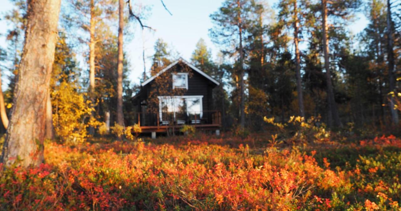 Lapintintti Eco-Cabin In Inari Buitenkant foto